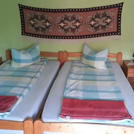 Apartment Pensiunea Shalom *