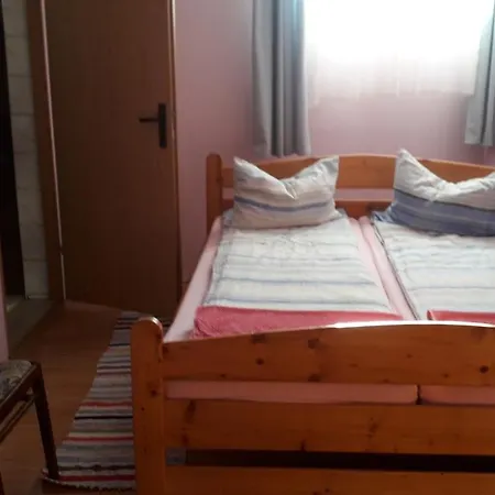 Pensiunea Shalom Apartment *
