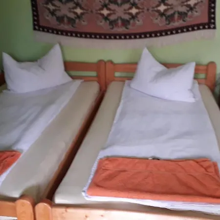 Apartment Pensiunea Shalom Sincraiu